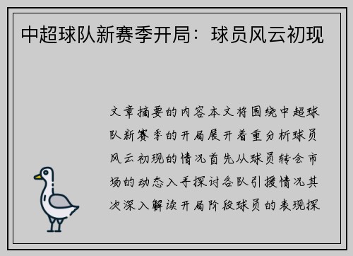 中超球队新赛季开局：球员风云初现